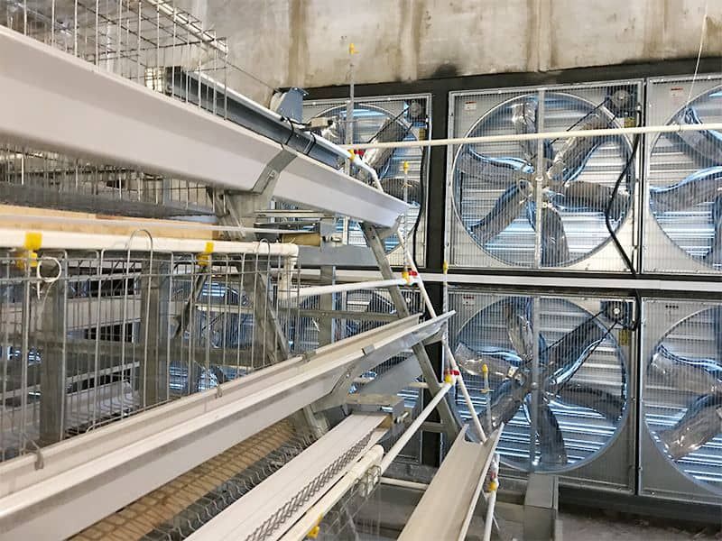 階梯式自動化養殖設備